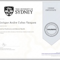 Acercar imagen: certificate 4