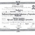 Acercar imagen: certificate 3