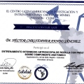 Acercar imagen: certificate 9