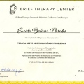 Acercar imagen: certificate 1