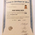 Acercar imagen: certificate 11