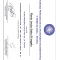 Acercar imagen: certificate 3