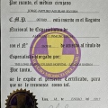 Acercar imagen: certificate 3