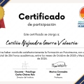 Acercar imagen: certificate 1