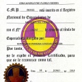 Acercar imagen: certificate 1
