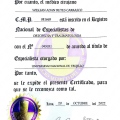 Acercar imagen: certificate 3
