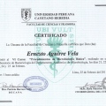 Acercar imagen: certificate 7