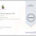 Acercar imagen: certificate 31