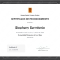 Acercar imagen: certificate 16