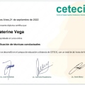 Acercar imagen: certificate 3