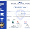 Acercar imagen: certificate 8