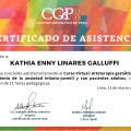 Acercar imagen: certificate 1