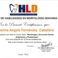 Acercar imagen: certificate 4