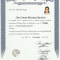 Acercar imagen: certificate 6