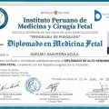 Acercar imagen: certificate 6