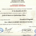 Acercar imagen: certificate 3
