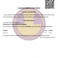 Acercar imagen: certificate 3