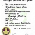 Acercar imagen: certificate 6
