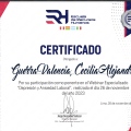Acercar imagen: certificate 2