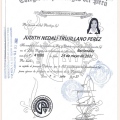 Acercar imagen: certificate 1