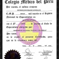 Acercar imagen: certificate 7