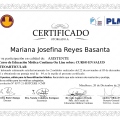 Acercar imagen: certificate 5