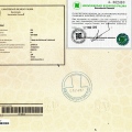 Acercar imagen: certificate 1