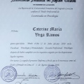 Acercar imagen: certificate 14
