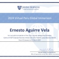 Acercar imagen: certificate 3