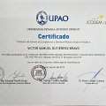 Acercar imagen: certificate 21