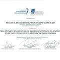 Acercar imagen: certificate 5