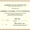 Acercar imagen: certificate 11