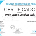 Acercar imagen: certificate 5