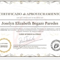 Acercar imagen: certificate 2