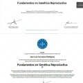 Acercar imagen: certificate 8