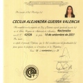 Acercar imagen: certificate 5