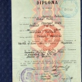 Acercar imagen: certificate 6