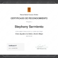 Acercar imagen: certificate 11