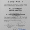 Acercar imagen: certificate 12