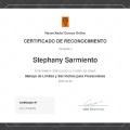 Acercar imagen: certificate 13