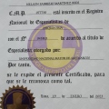 Acercar imagen: certificate 5