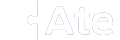 e-Auditor e-Auditor