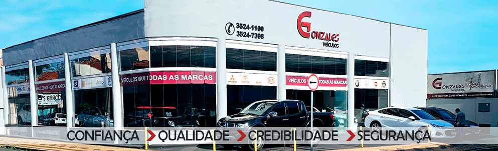 Banner GONZALEZ VEICULOS