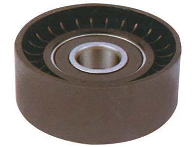 Polia Alternador Picasso/Peugeot 307