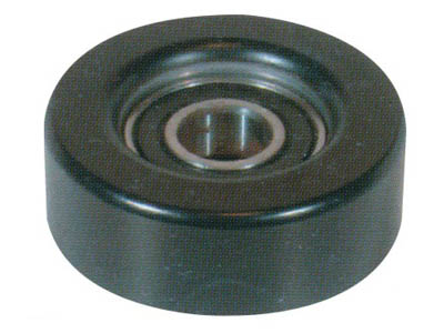 Polia Alternador Fiesta/Ecosport