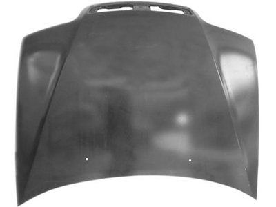 Capo palio fire 01 03 c furo esguicho