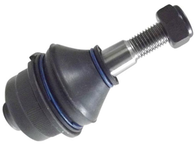 Pivo susp fusca brasilia variant i superior