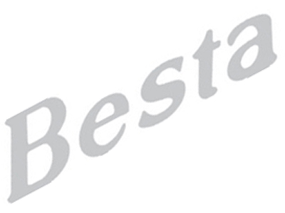 Adesivo Besta Lateral Diant Prata