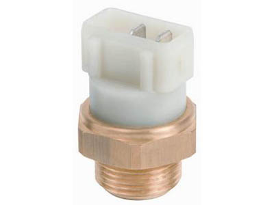 Int temperatura mte0755