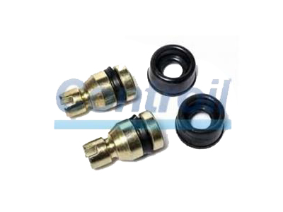 Reparo Cilindro Roda C-1445